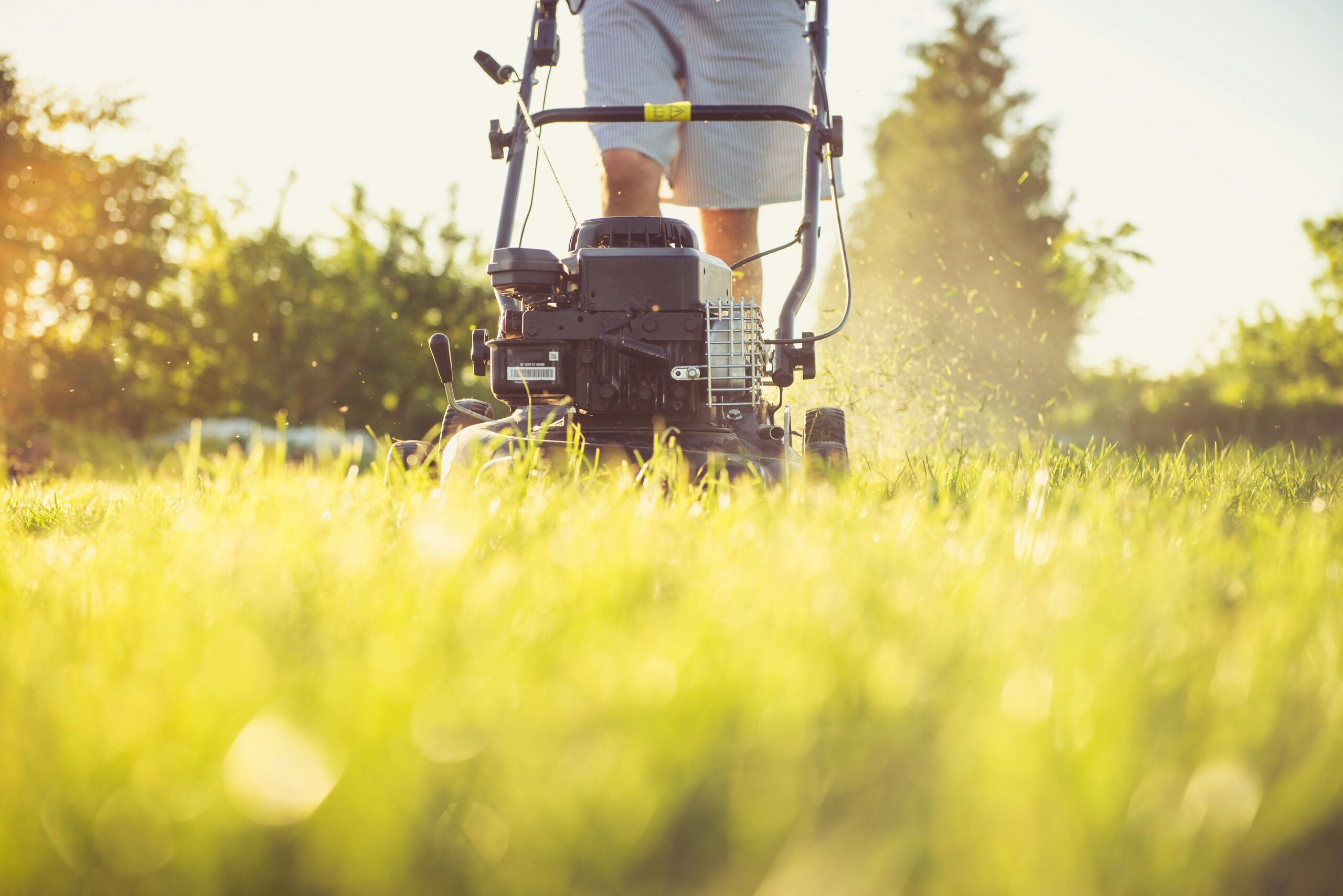 How To Grow The Greenest Grass On The Block